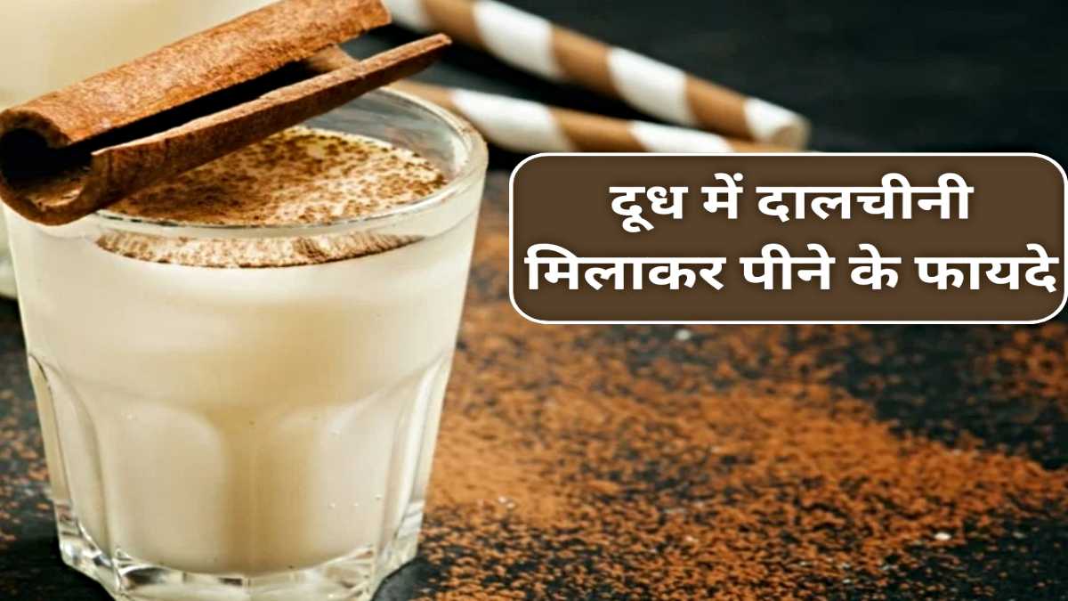 Dalchini Doodh: रोज़ पीयें दालचीनी वाला दूध, हड्डियां होंगी मजबूत और नींद भी आएगी अच्छी…