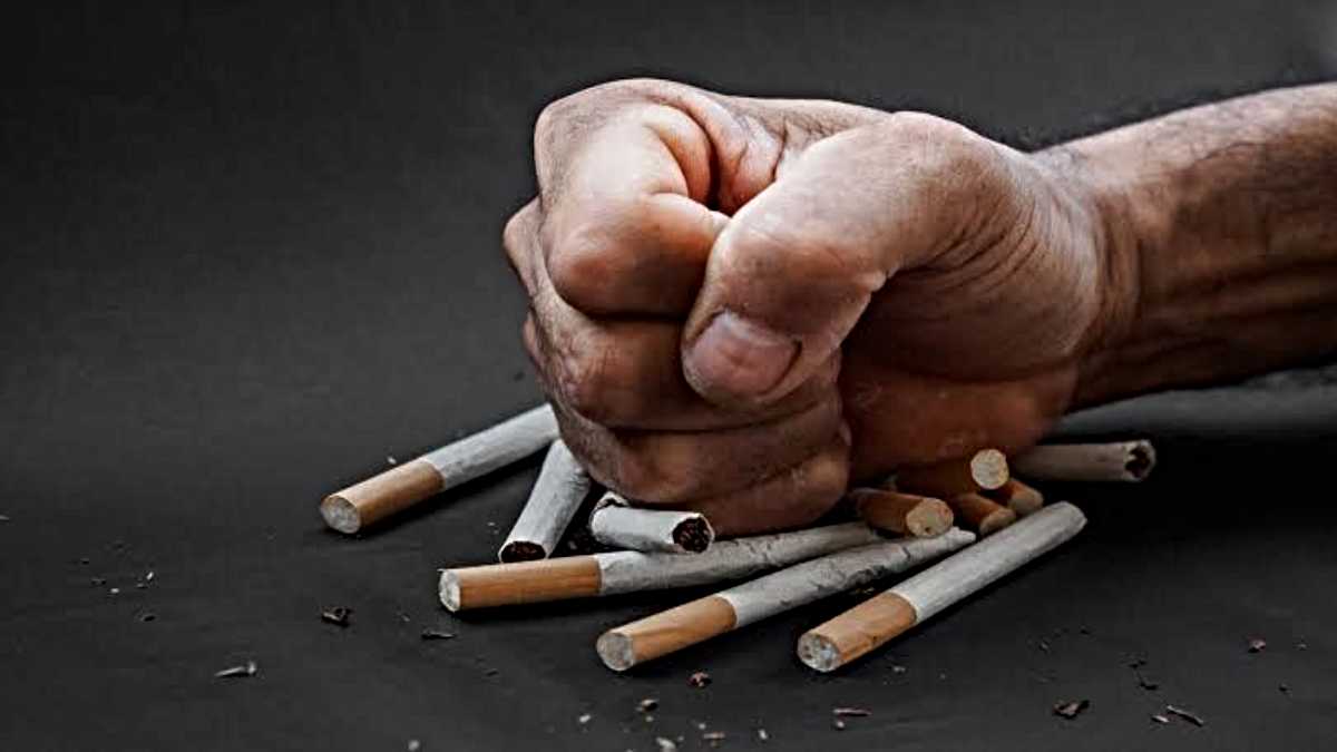 Quit Smoking: सिगरेट छोड़ना चाहते हैं, छोड़ नहीं पा रहे? आज से ही शुरू करें इस सब्जी का सेवन…