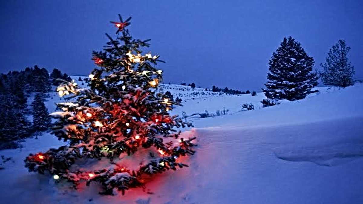 Christmas Holidays पर आप 2 दिन की छुट्टी लेकर 5 दिनों के लिए इन बर्फीली जगहों पर घूमने का प्लान बना सकते हैं…