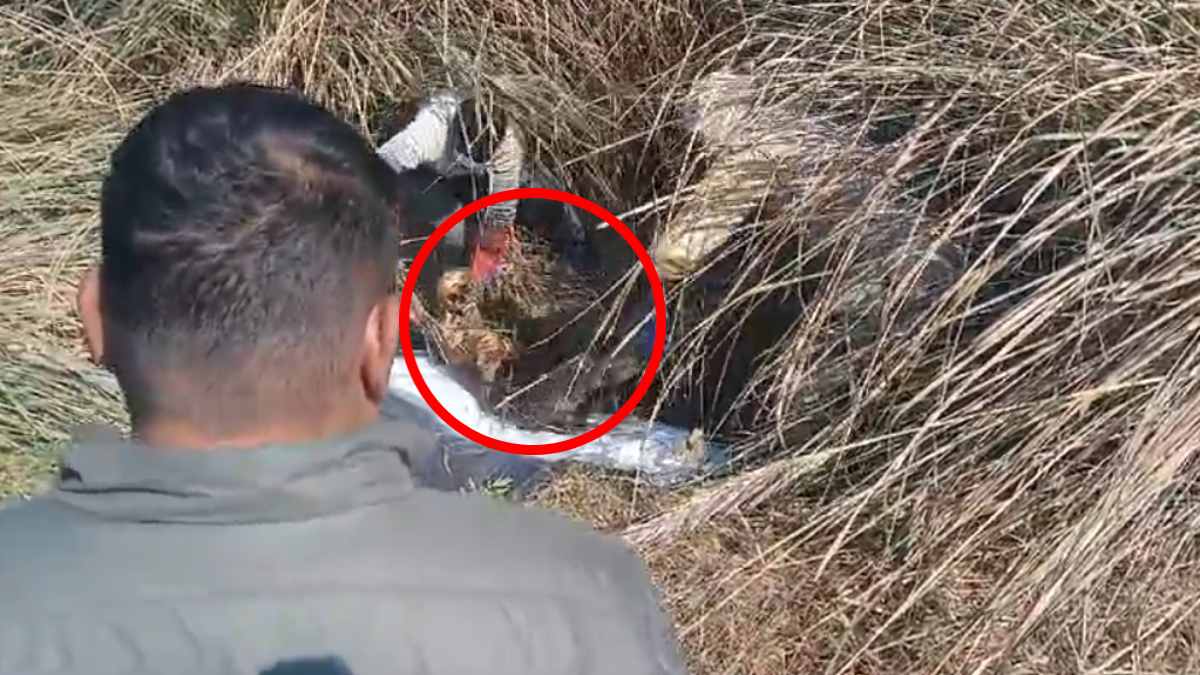 तीन दिन बाद भी तह तक नहीं पहुंच पा रहे ‘कानून के लंबे हाथ’, अब तक नहीं हो पाई शव की शिनाख्त, पोस्टमार्टम रिपोर्ट का इंतजार