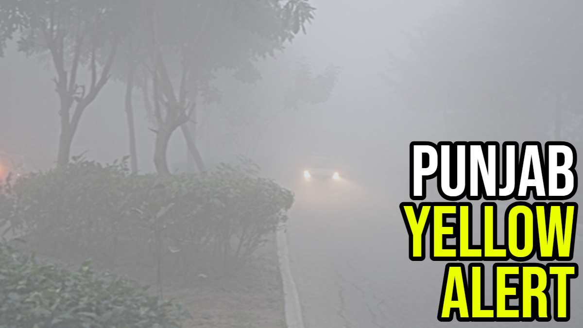 Punjab Weather News: पंजाब में बढ़ा धुंध का खतरा, 2 दिन का अलर्ट जारी…