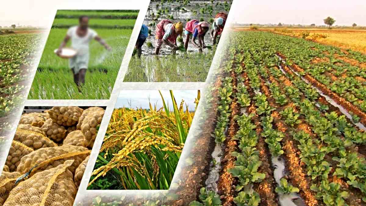 कृषि स्टार्टअप के लिए चाहिए फंड? तो जानिए क्या है सरकार का AgriSURE स्कीम और क्या मिलेगा फायदा…