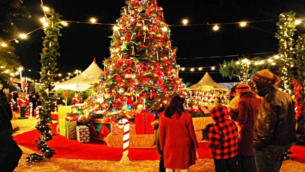 Christmas: भारत की इन शहरों में होती है क्रिसमस की धूम, आप भी बना सकते हैं प्लान…