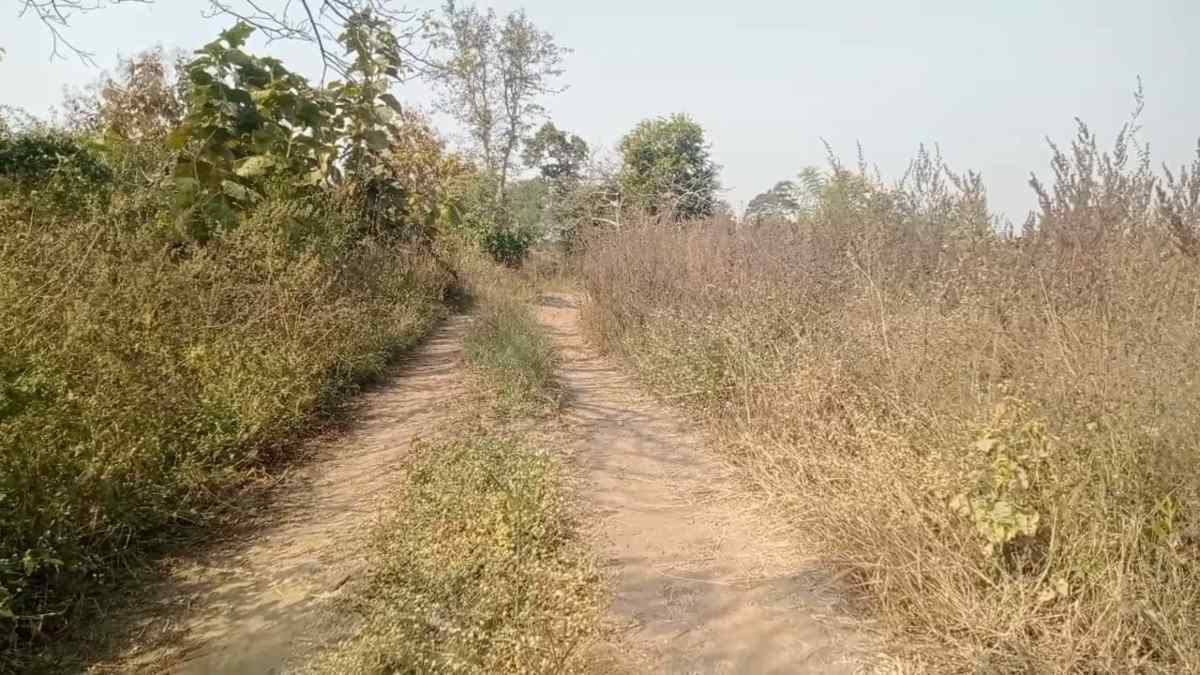 ये देखिए ‘विकास’ की चमचमाती सड़क… पंचायत ने निर्माण के नाम पर निकाल लिए लाखों रुपये, अब जिम्मेदारों ने साधी चुप्पी, ऐसे होगा ग्रामीण क्षेत्रों का विकास?