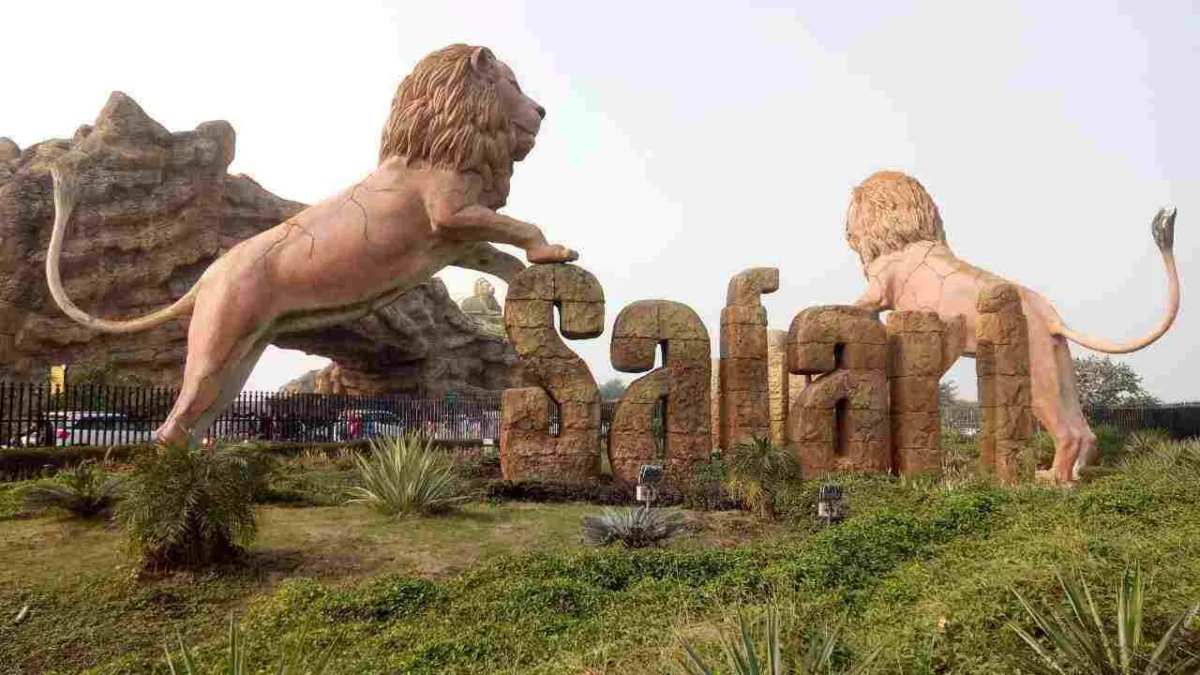 आयुर्वेद से ही होगा! ठंड में बब्बर शेरों को होती है पेट की समस्या, बीमारी से निजात दिलाने सफारी प्रबंधन ऐसे कर रहा इलाज