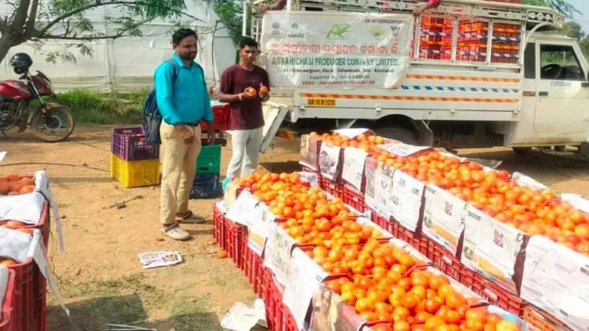 Man ki Baat: पीएम मोदी ने कालाहांडी की ‘सब्जी क्रांति’ का किए सराहना…