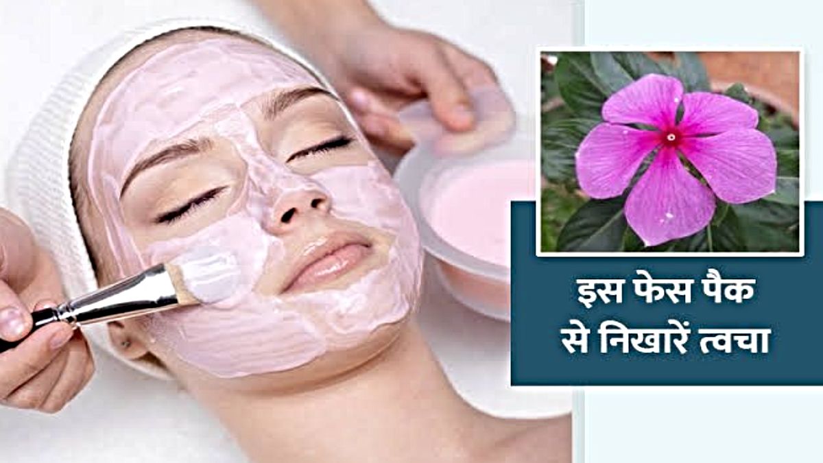 Skin Care Tips: सदाबहार के फूल से बनाएं फेस पैक और स्किन पर Apply करके चमकाएं चेहरा…