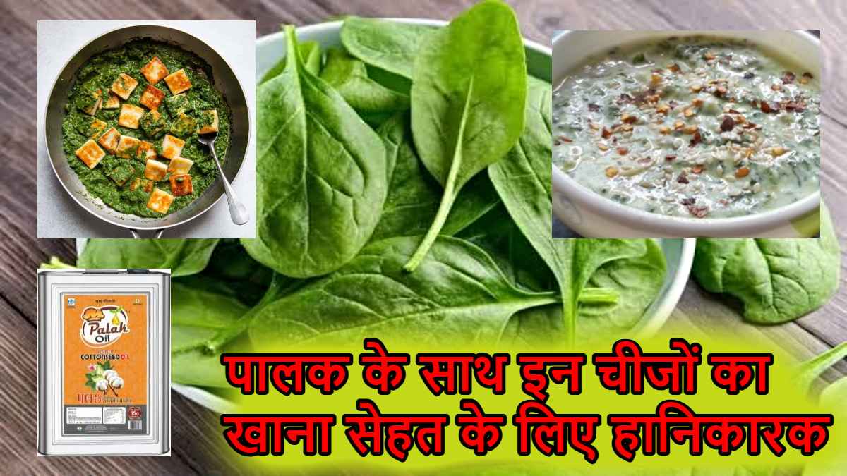 Palak Combination: पालक के साथ इन चीजों का सेवन कभी न करें, ये है बहुत डेंजरस कॉम्बिनेशन…