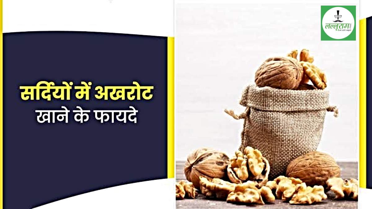 Winter Care Tips: ठंड में जरूर करें अखरोट का सेवन, इम्यूनिटी होगी स्ट्रांग, वजन भी होगा नियंत्रित…