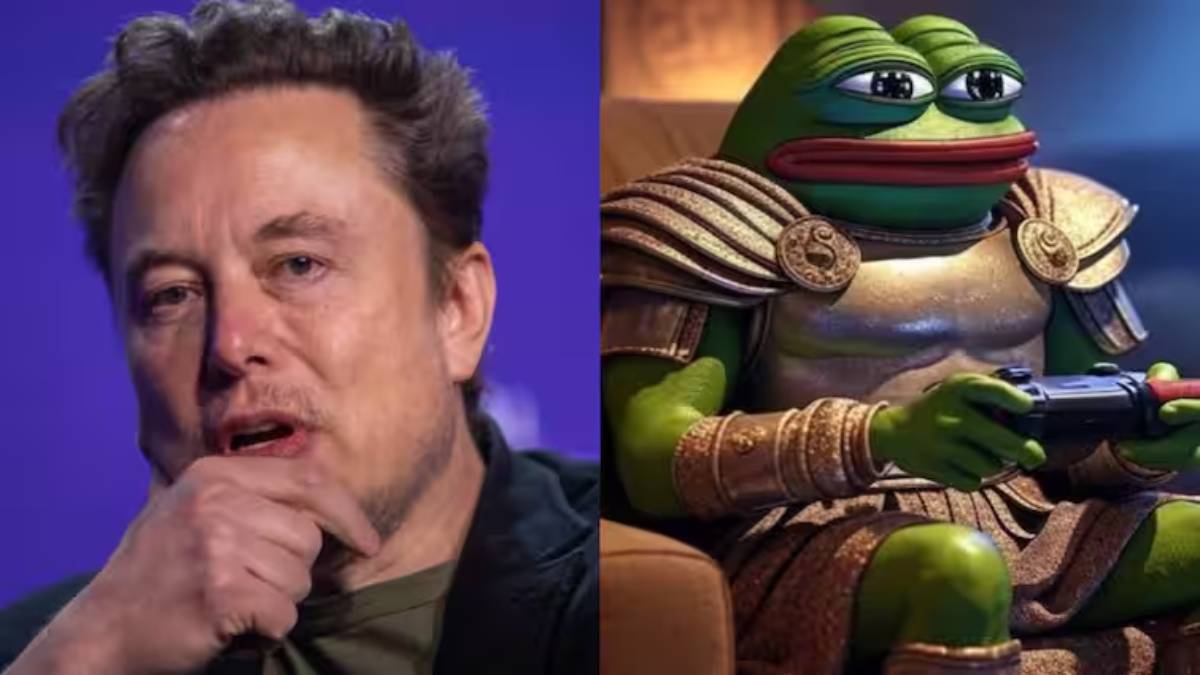 New Year 2025 से पहले Elon Musk ने बदला नाम, X प्रोफाइल पिक्चर पर लगाया ‘मेंढक’, जानें क्या है वजह