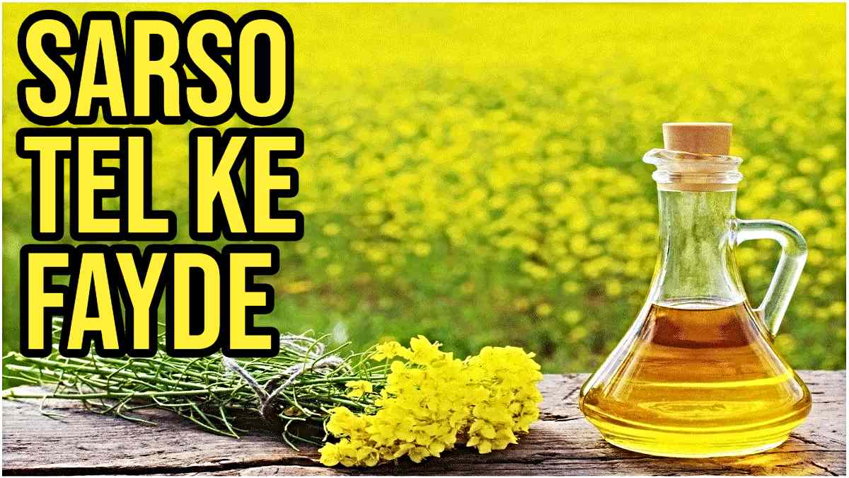 Sarso Tel: सरसों तेल के शानदार फायदे, जानें कैसे मिलेगा दर्द से राहत और बेहतर नींद…