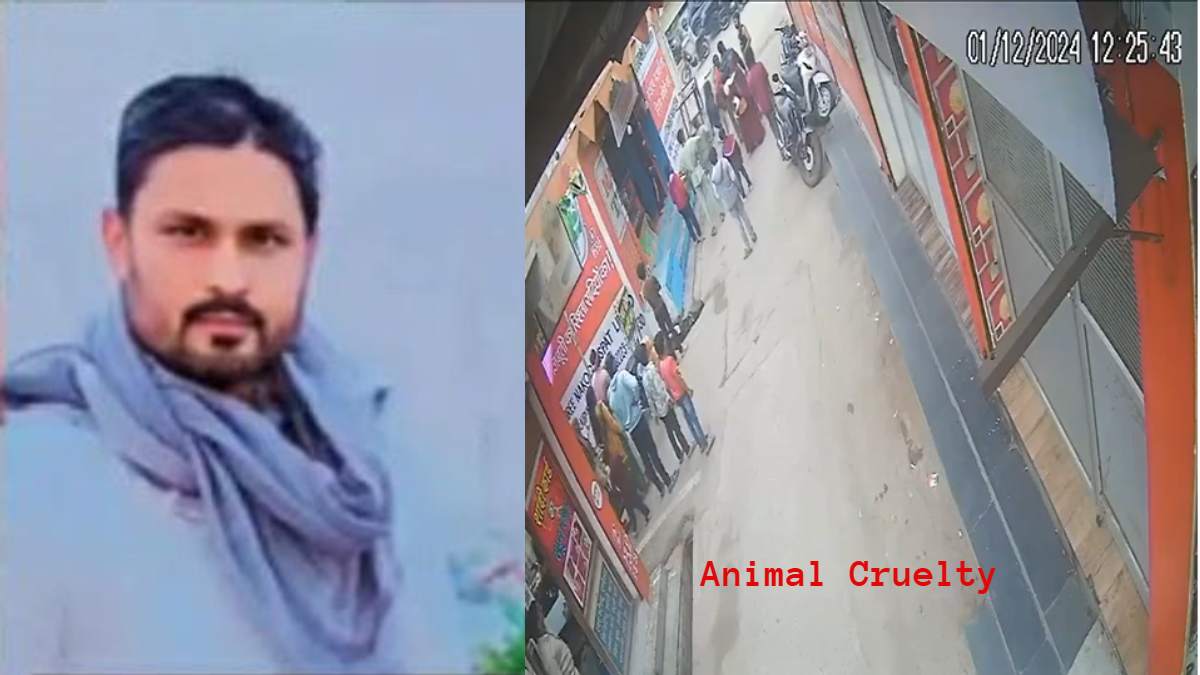 CG Crime: कुत्ते ने बच्चे को भौंका तो पिता ने जान से मारने की कोशिश, लोहे की रॉड से किया हमला, पशु प्रेमियों ने की कार्रवाई की मांग
