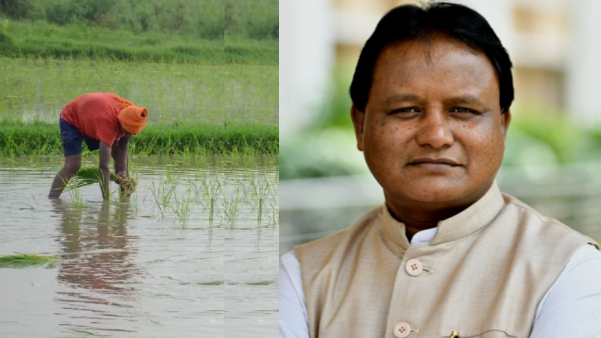 ओडिशा में किसानों को मिलेगा 3100 रुपये प्रति क्विंटल, मुख्यमंत्री माझी आज लांच करेंगे ये योजना…