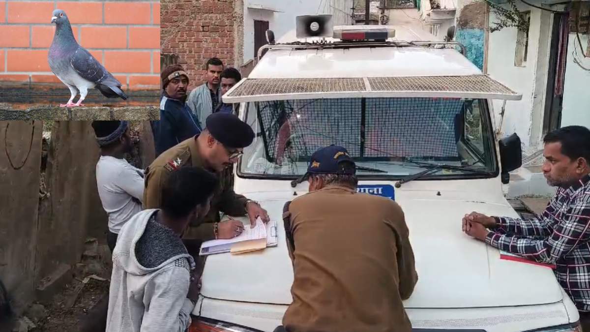 कबूतर ने ले ली बुजुर्ग की जानः आरोपी पुलिस हिरासत में, जांच जारी