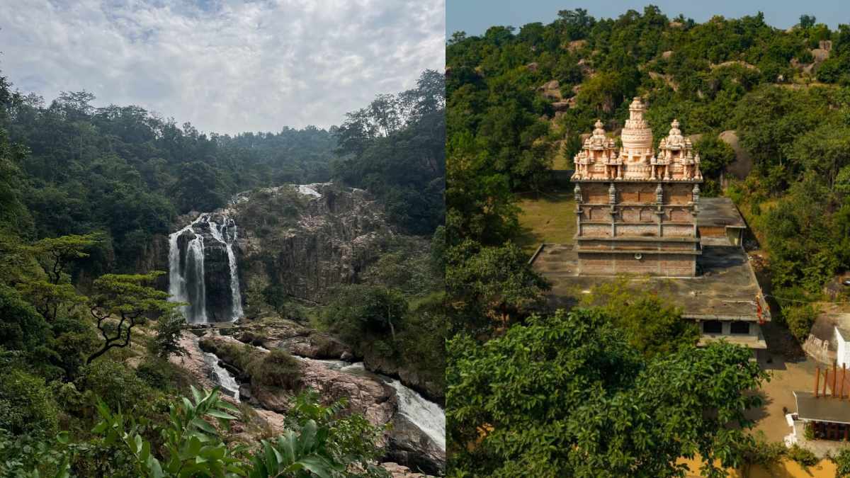 प्राकृतिक सौंदर्य से भरपूर गौरेला-पेण्ड्रा-मरवाही जिले में प्रशासन की पहल, पर्यटन विकास के साथ स्थानीय लोगों की आजीविका को मिलेगा संबल!