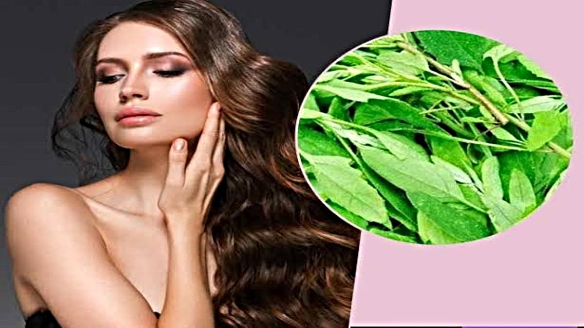 Hair Care Tips: बथुआ भाजी के पानी से धोएँ बाल, और देखें इसका कमाल…