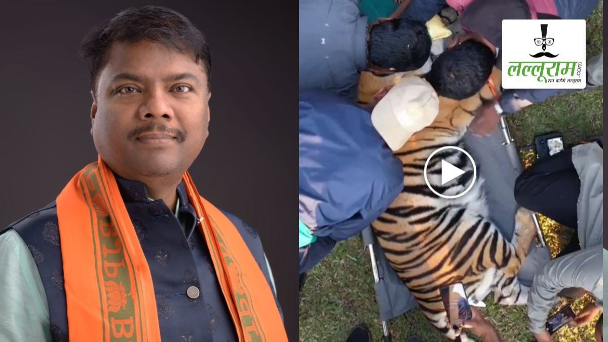वन मंत्री केदार कश्यप के निर्देश पर मादा बाघ का किया गया सफल रेस्क्यू, एक्सपर्ट डॉक्टरों की टीम ने किया ट्रैंकुलाइज, देखें VIDEO