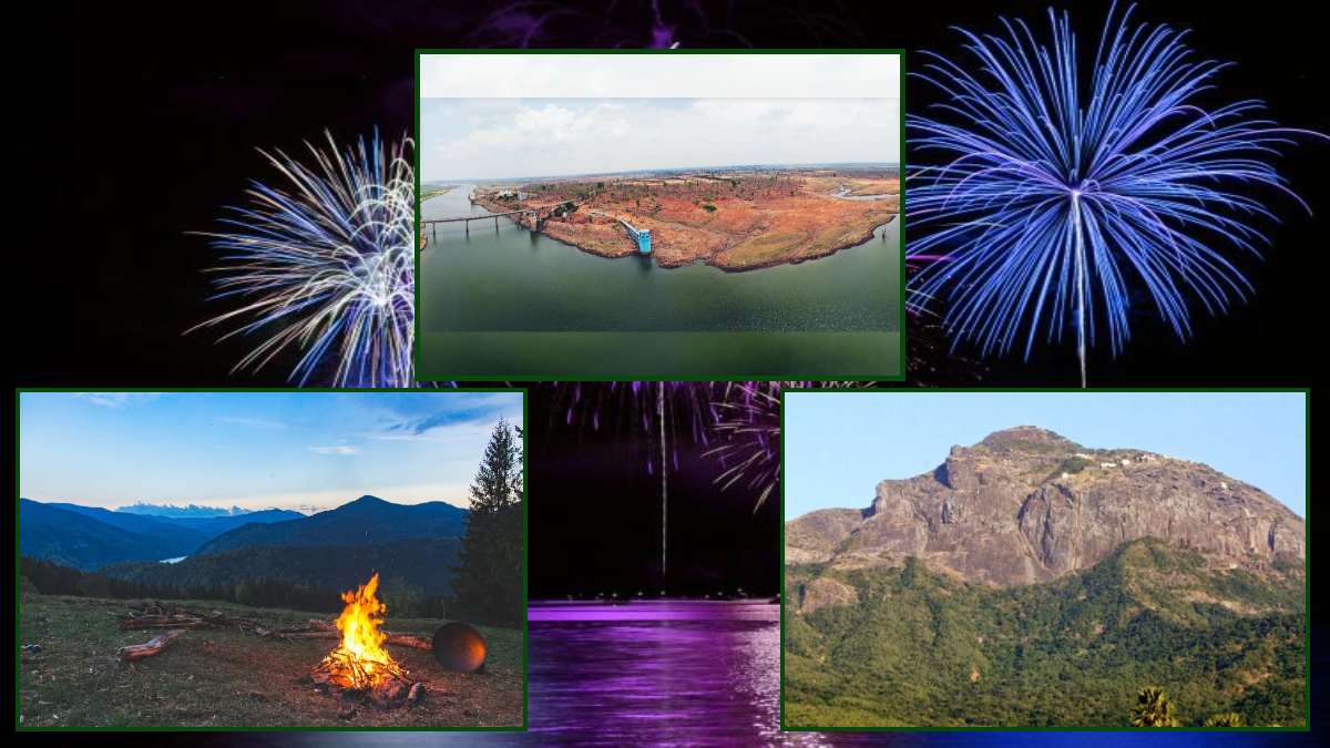 New Year 2025 Celebration in MP: हरे-भरे जंगलों और लुढ़कती पहाड़ियों के बीच करें नए साल का स्वागत, सुंदरता का अनोखा संगम साल भर रहेगा याद