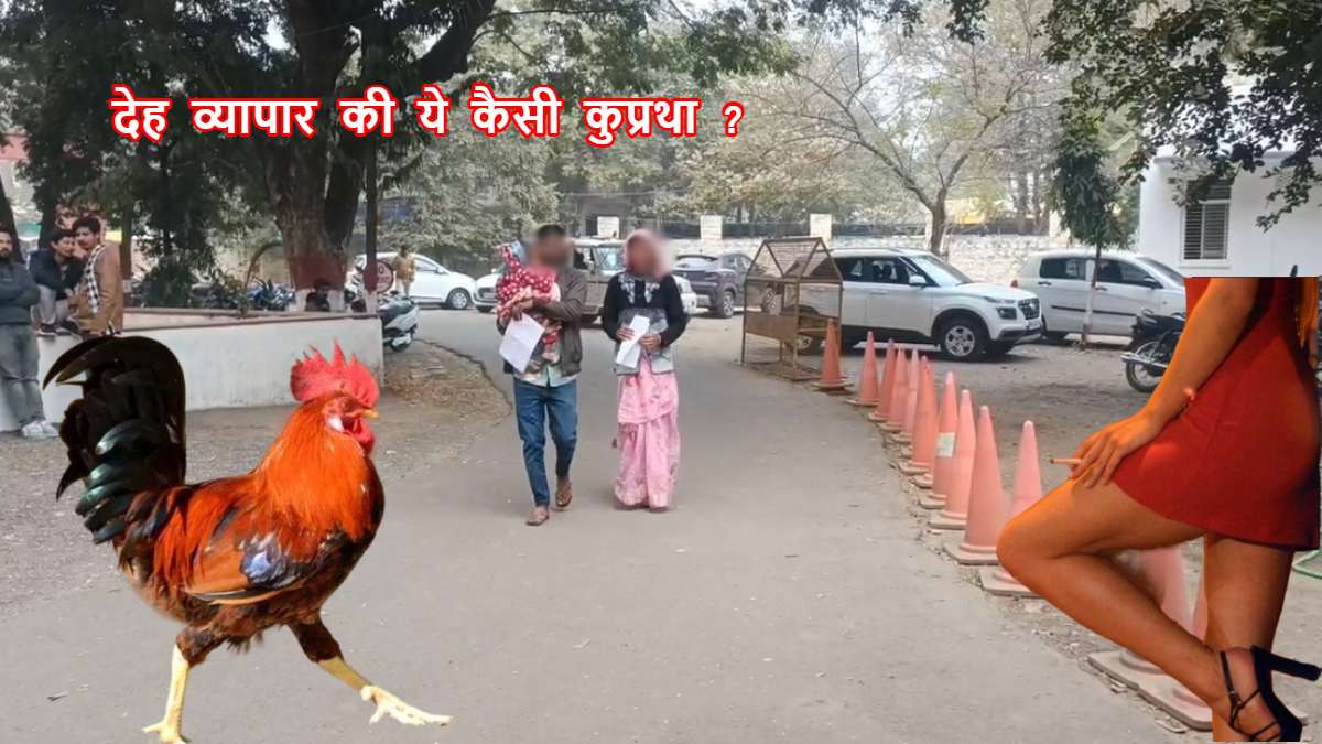 देह व्यापार के दलदल की खौफनाक दास्तां: पसंद की शादी पर बेटी-दामाद का बहिष्कार, मुर्गे की गर्दन उड़ाकर की तांत्रिक क्रिया, बोले- ऐसे ही तड़पेंगे…