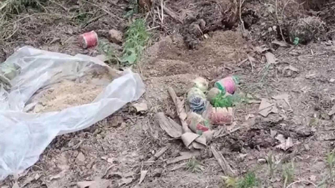 पश्चिम बंगाल के मालदा में बड़ी साजिश नाकाम, एक बार फिर बम मिलने से मचा हड़कंप