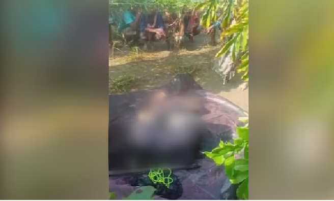 जंगल से बरामद हुआ महिला का आधा जला हुआ शव, हत्या का संदेह