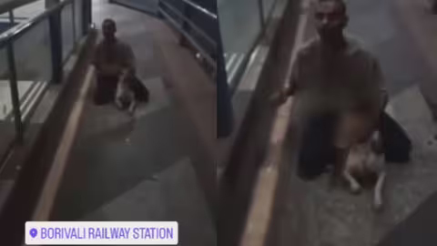 कुत्ते को भी नहीं छोड़ा, फुट ओवर ब्रिज पर युवक ने श्वान के साथ रेप किया; VIDEO Viral