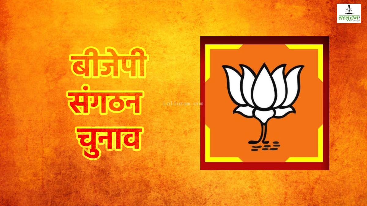 MP BJP District President: इंदौर, छिंदवाड़ा समेत 6 जिलों में अब भी फंसा पेंच, अब तक 56 जिलाध्यक्ष घोषित कर चुकी है बीजेपी