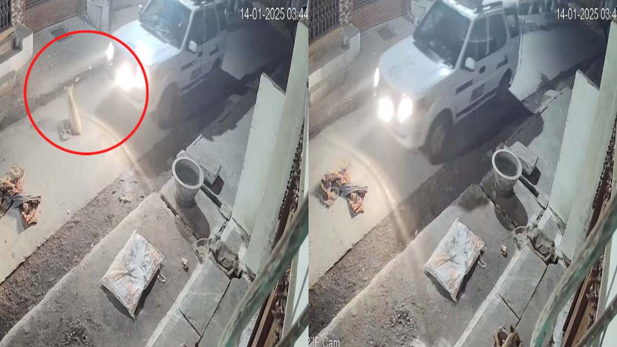 इंसान नहीं जानवर हैं ये! पुलिसकर्मियों ने डायल-100 से कुत्ते को कुचला, फिर हो गए नौ दो ग्यारह, अब SP ने कही ये बात
