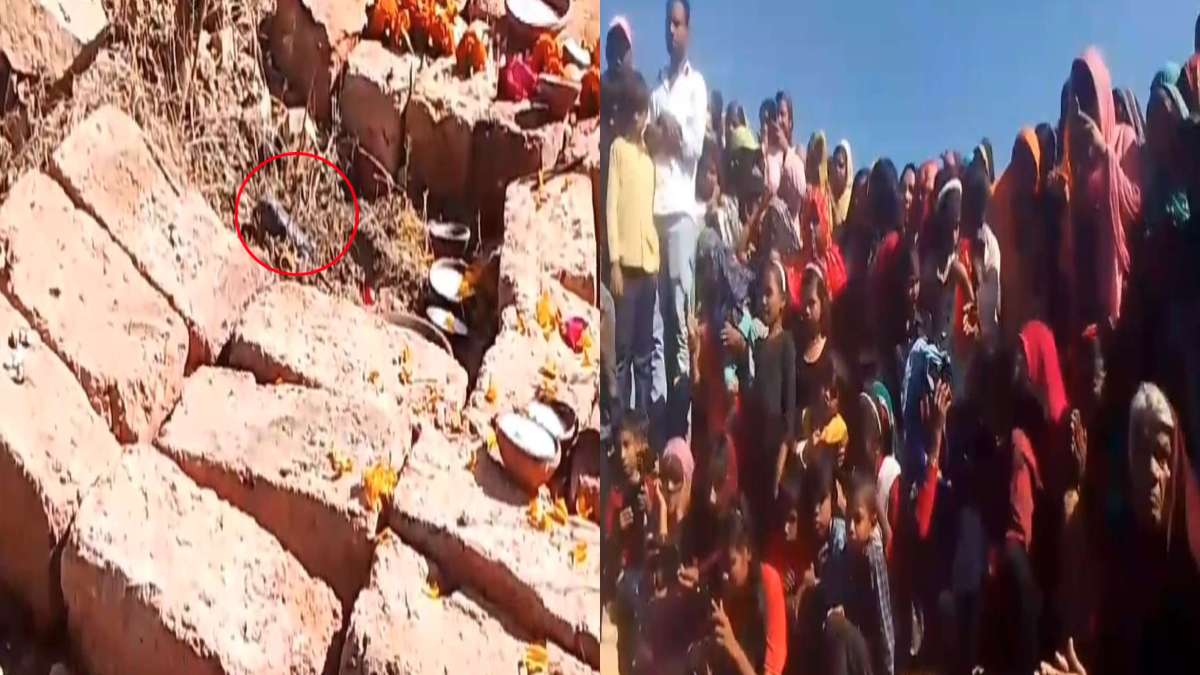 इसे आस्था कहे या अंधविश्ववास? सिद्ध बाबा की टोरिया पर सांप दिखने से श्रद्धालुओं का उमड़ा हुजूम, देखें VIDEO