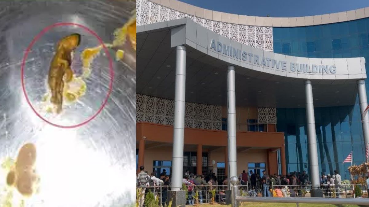 Central University: सेंट्रल यूनिवर्सिटी के मेस के खाने में मरा हुआ ‘चूहा’ मिला, छात्रों ने मेस में जड़ा ताला