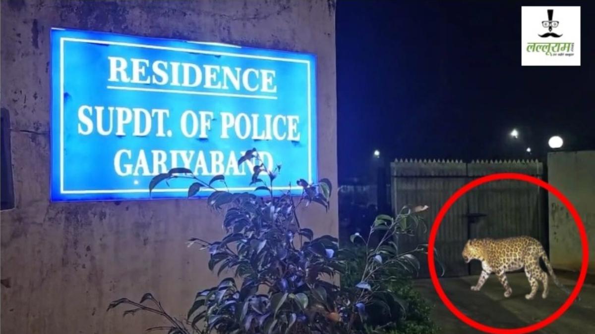 कलेक्ट्रेट कार्यालय और एसपी निवास के पास दिखा तेंदुआ, वन विभाग के अधिकारियों में मचा हड़कंप