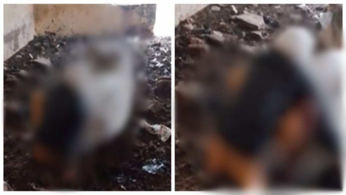 शर्मनाक करतूत: गाय के साथ हैवानियत, बुजुर्ग ने किया कुकर्म, ग्रामीणों ने किया पुलिस के हवाले