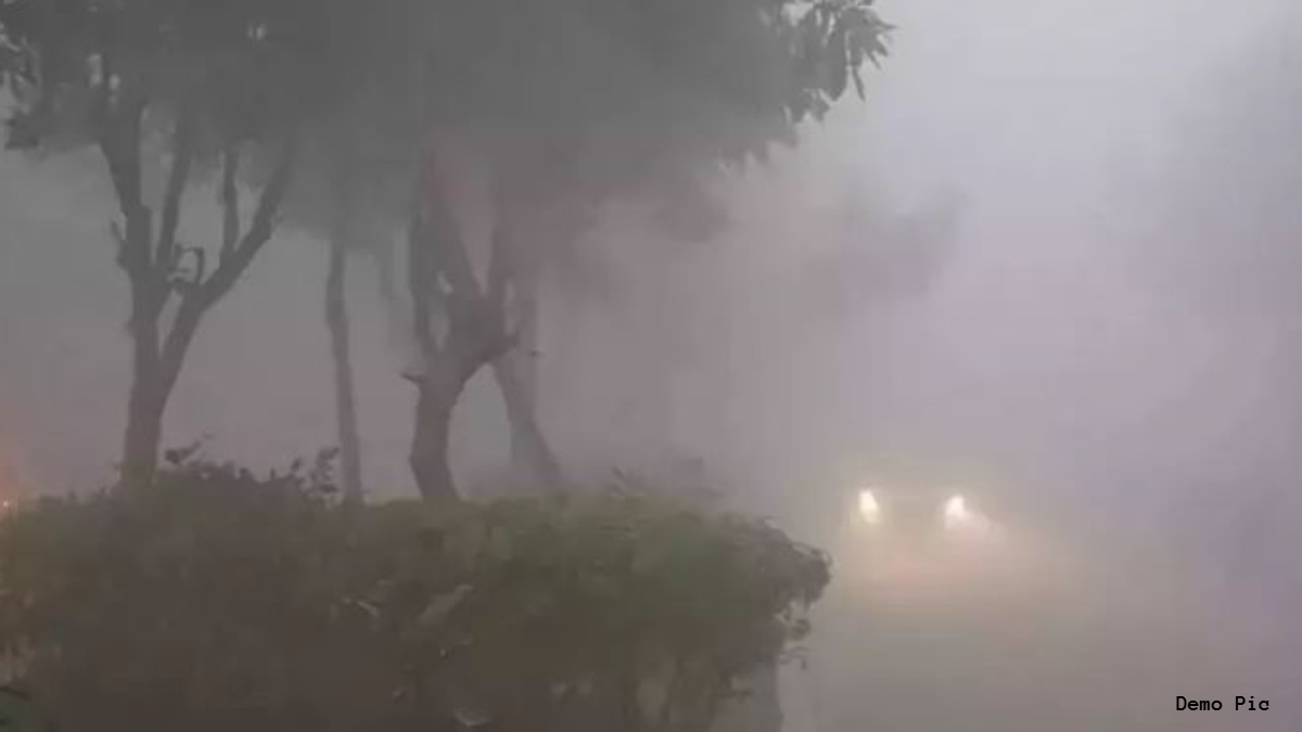 ग्वालियर चंबल अंचल में गिरा सीजन का पहला मावठ: बारिश की बूंदों से फसलों को मिला अमृत, किसानों के खिले चेहरे