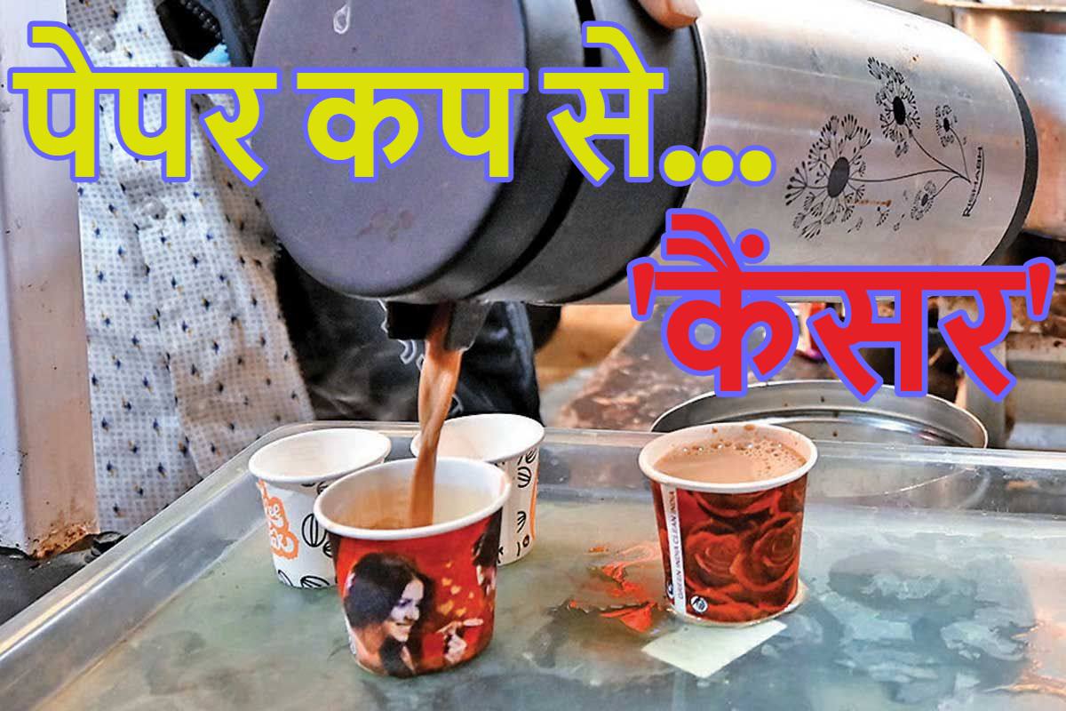 Paper Cup: पेपर कप में चाय-कॉफी पीने से हो सकता है कैंसर! चाय की हर चुस्की के साथ आपके शरीर में जा रहा 20,000 से 25,000 माइक्रोप्लास्टिक के छोटे-छोटे कण