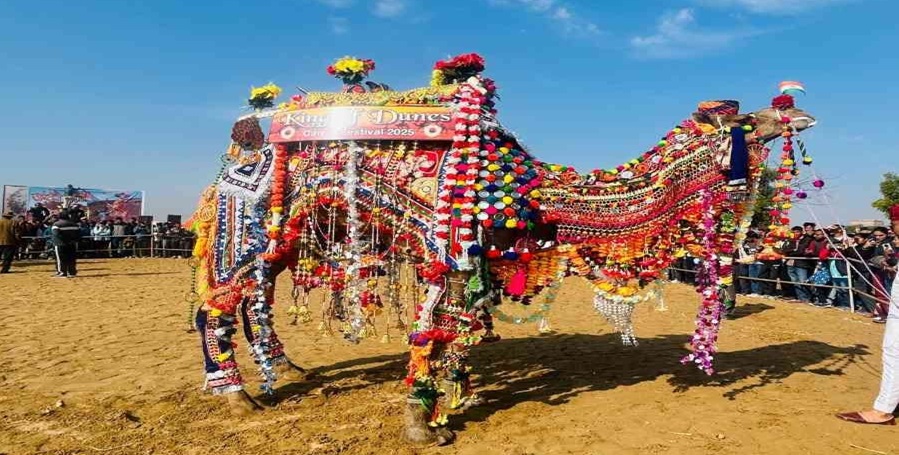 Rajasthan News: अंतरराष्ट्रीय ऊंट उत्सव में रोमांच और संस्कृति का संगम