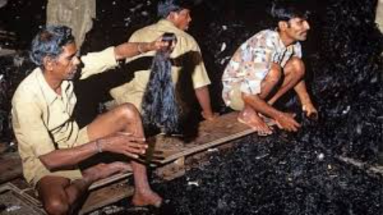 Bihar News: बिहार-नेपाल बॉर्डर से लाखों रुपये के इंसानी बाल बरामद