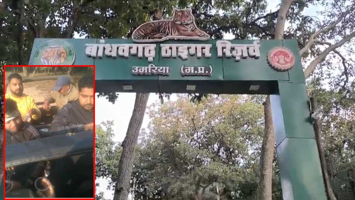 ‘जंगल’ में ‘मंगल’ करना पड़ा भारी: टाइगर सफारी में गए पर्यटकों ने जिप्सी में की शराब पार्टी, Video वायरल, डिप्टी डायरेक्टर ने जारी किया नोटिस