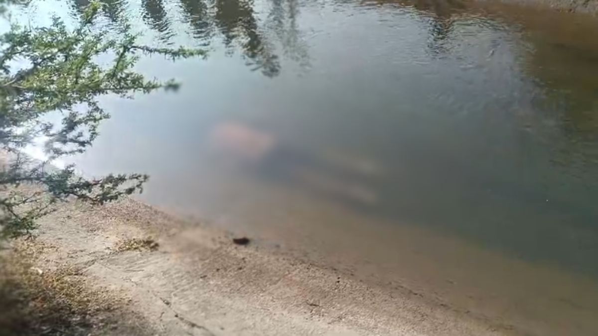 नहर में तैरता मिला युवक का शव: कुछ दिन पहले ही आया था ससुराल, जांच में जुटी पुलिस