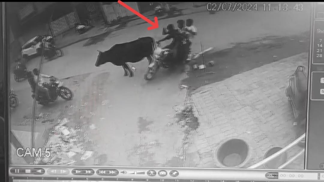 गाय को लात मारने पर चंद सेकंड में मिला कर्मों का फल, हादसे का शिकार हुए स्टंटबाज, युवक का फटा सिर, Video