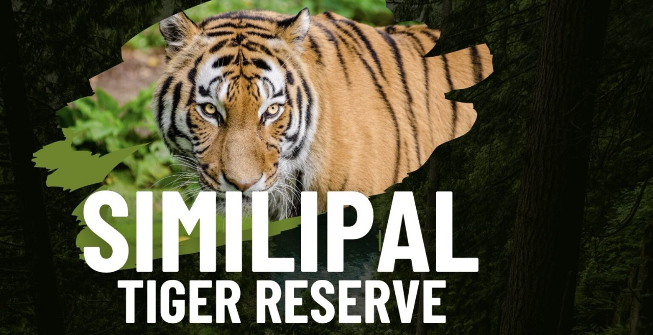 Similipal Tiger Reserve में प्रवेश के लिए बदले नियम, नए नियम 1 फरवरी से होंगे लागू
