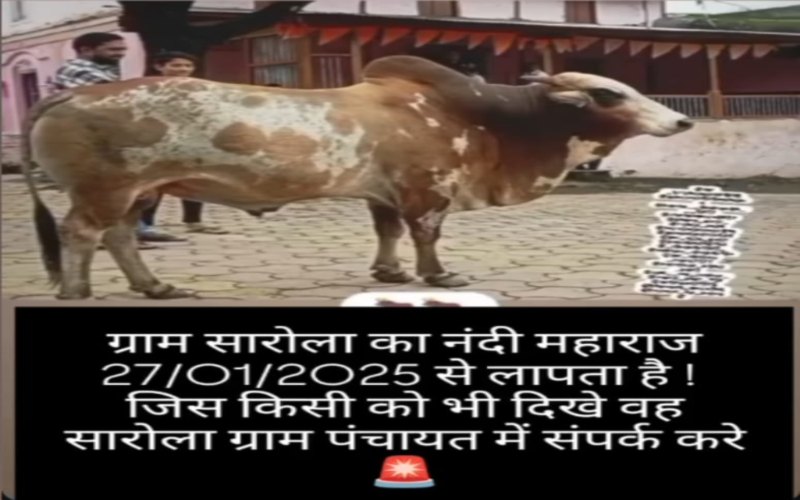 नंदी के सींग और खाल मिलने से ग्रामीणों में आक्रोशः दोषियों पर कार्रवाई की मांग को लेकर देर रात थाने का घेराव, संदिग्ध की गिरफ्तारी के बाद मामला हुआ शांत