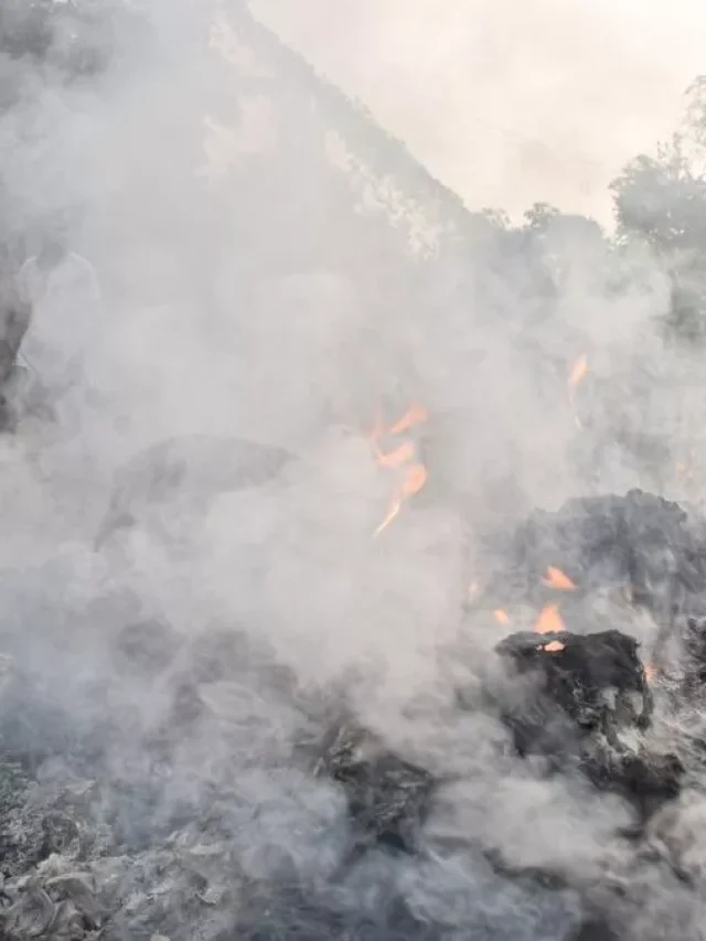 कानपुर-वाराणसी नहीं, इस शहर की हवा है सबसे प्रदूषित…