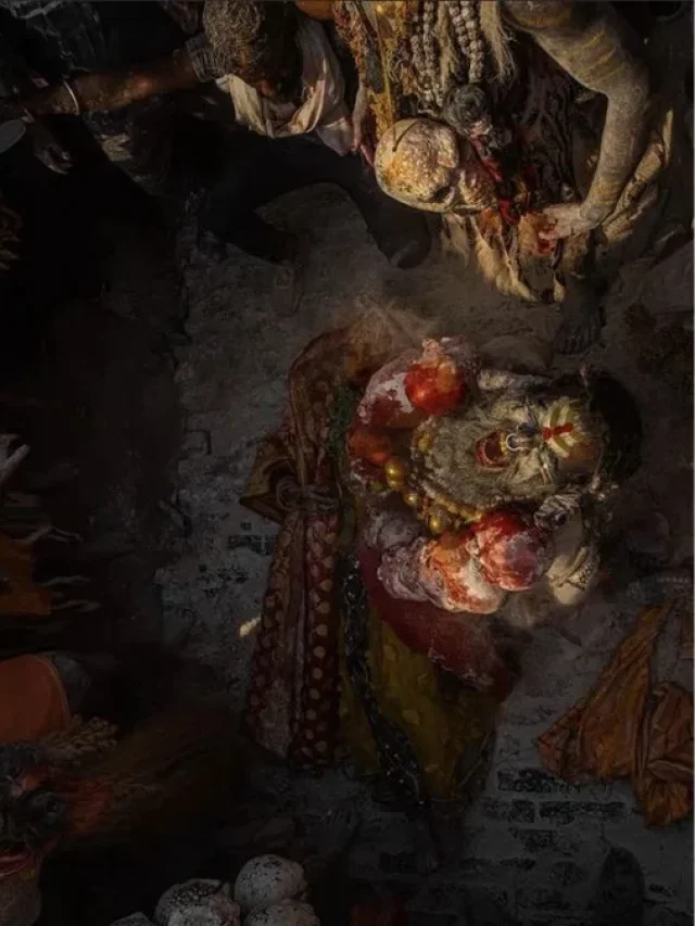 Mahakumbh 2025 : काशी के कलाकार करेंगे महाकाल की लीला, भस्म की होली खेलेंगे अघोरी