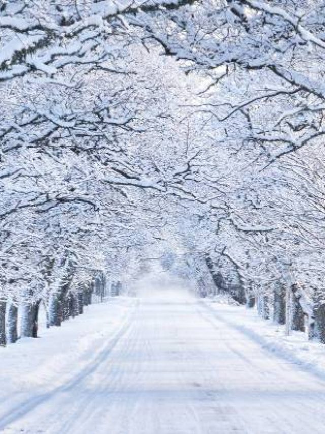 नए साल को न बनाएं बोरिंग, बैग पैक करें और कर ले इस ट्रिप की तैयारी