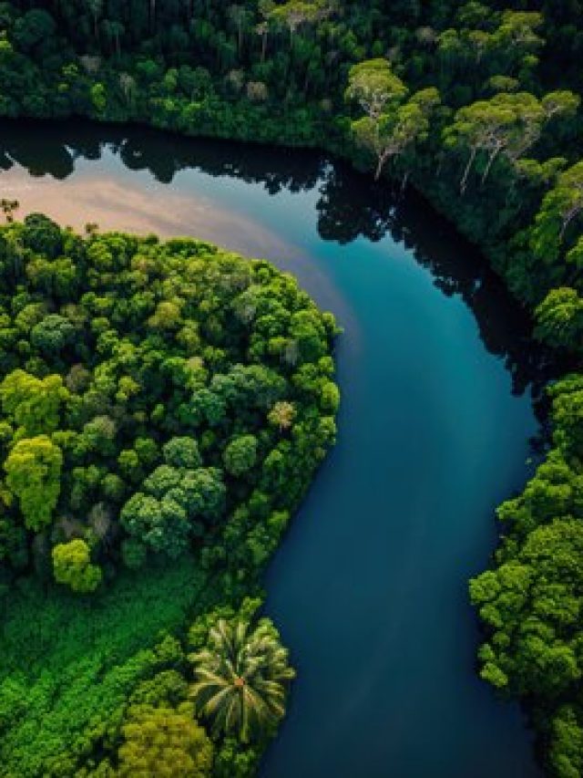 9 देशों से गुजरने वाली इस नदी पर आज तक नहीं बना कोई पुल …