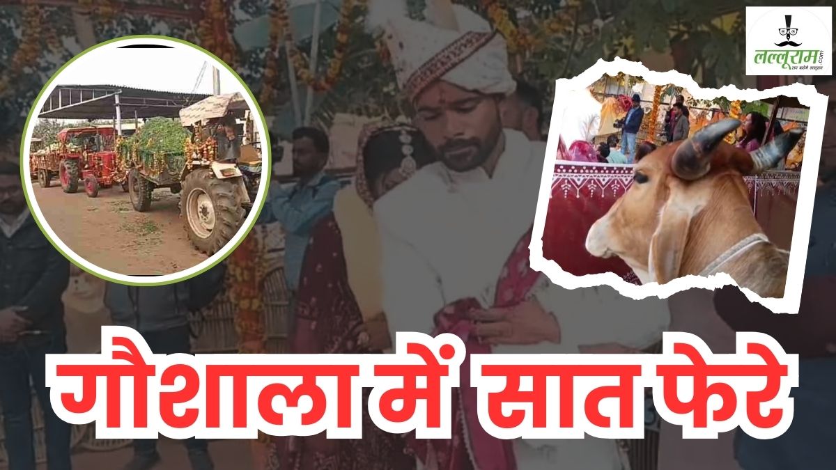 ऐसी शादी भला कौन भूल सकता है? महंगे होटल छोड़ गौशाला को बनाया वैदिक वेडिंग डेस्टिनेशन, घास का सोफा, बैलगाड़ी में बारात, गौ माता के सामने लिए सात फेरे