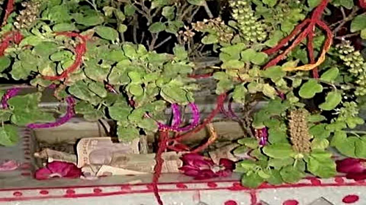 New Year 2025: अगर आप साल को बेहतर बनाना चाहते हैं तो साल के पहले दिन ही करें ये छोटा सा उपाय…