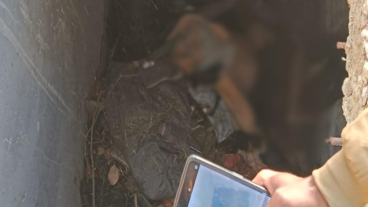 बड़ी खबर: सेप्टिक टैंक में मिली 4 लोगों की लाश, जताई जा रही हत्या की आशंका