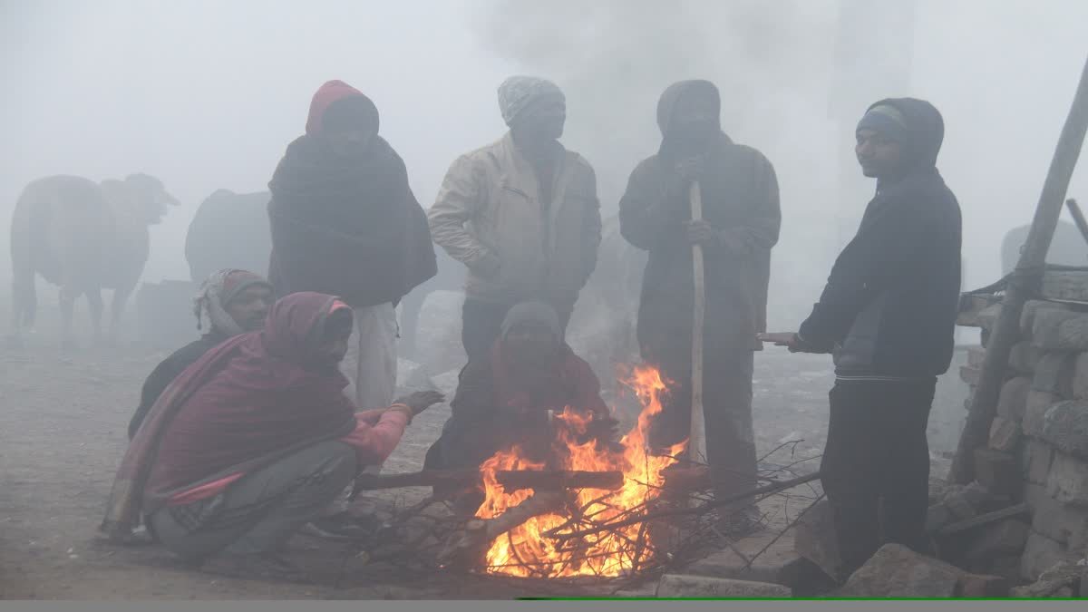 अगले एक हफ्ते ठंड से ठिठुरेगा उत्तर भारत! बारिश से इन इलाकों में बदलेगा मौसम का मिजाज, जानें देशभर के मौसम का हाल
