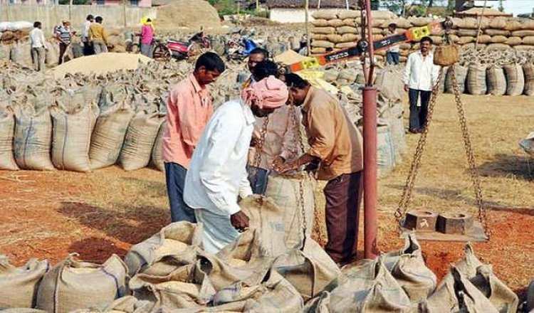 छत्तीसगढ़ में अब तक 106 लाख मीट्रिक टन धान की खरीदी: 20.53 लाख किसानों को 23 हजार 790 करोड़ रुपये का हुआ भुगतान
